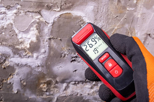 Twain Harte, CA Mold Removal Company