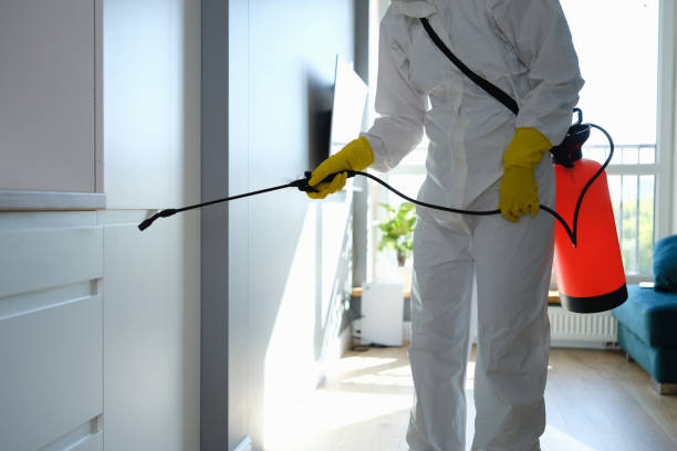 Crawl Space Mold Removal in Twain Harte, CA