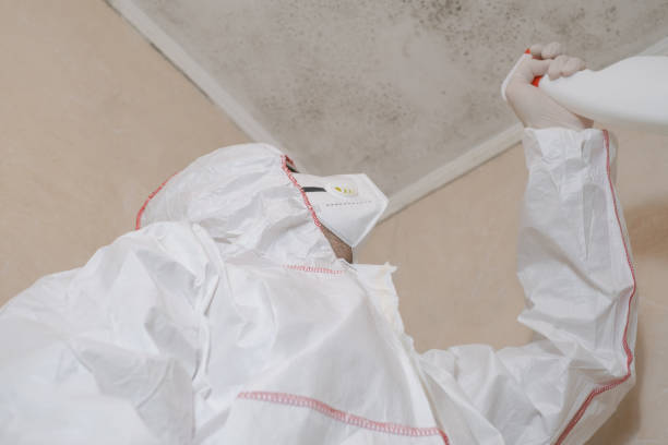Best Toxic Mold Removal  in Twain Harte, CA