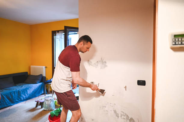 Best Attic Mold Removal  in Twain Harte, CA